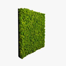 240 cm panel