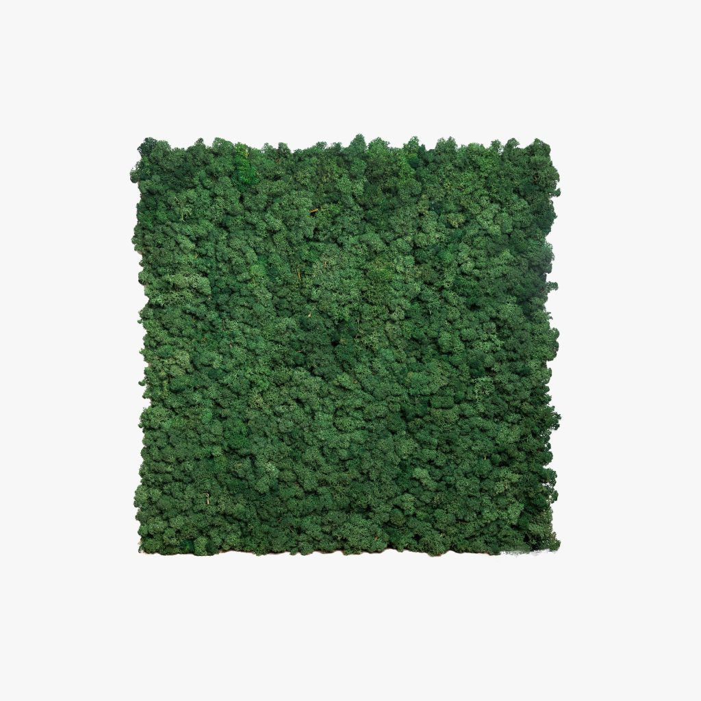 Reindeer Moss Panel — 60 × 60 cm — view 2
