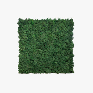 Reindeer Moss Panel — 60 × 60 cm — view 2
